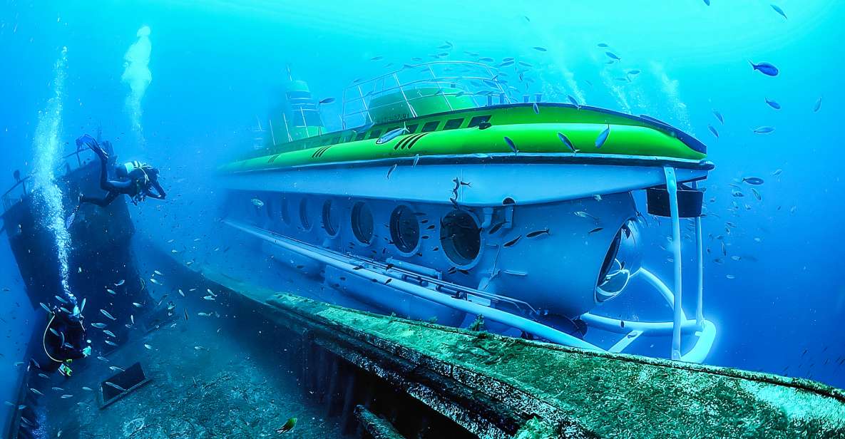 Southern Tenerife: 50-Minute Submarine Dive - The 30-Meter Seabed Moment (Where the Real Magic Happens)