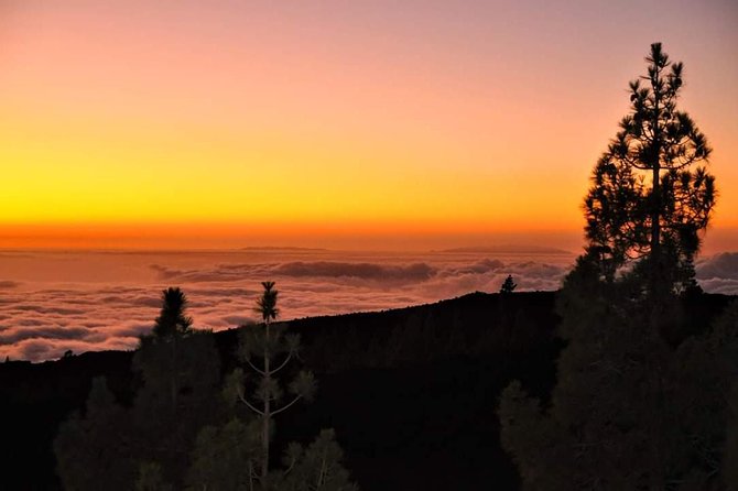 Teide National Park Sunset & Stargazing with Dinner (Star Safari) - Telescope Time, Group Size, and How to Get the Best Night
