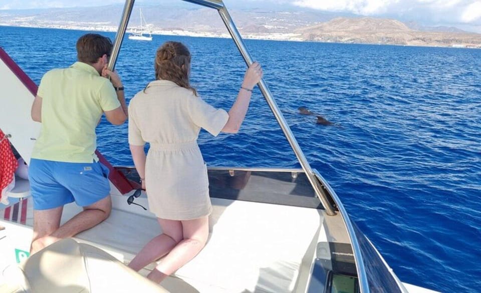 Tenerife: Eco-Yacht Whale and Dolphin Watching and Swimming - On-board comfort and safety: the stuff that keeps the trip pleasant