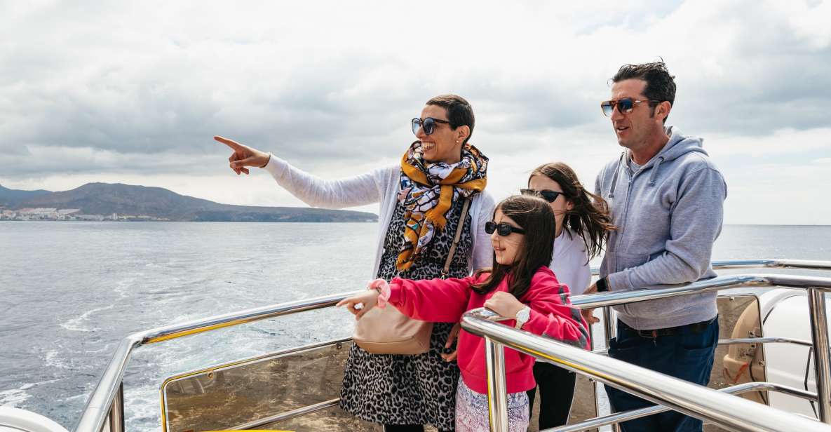 Tenerife: Eco-Yacht Whale and Dolphin Watching and Swimming - Who this suits best (and who may want a different plan)