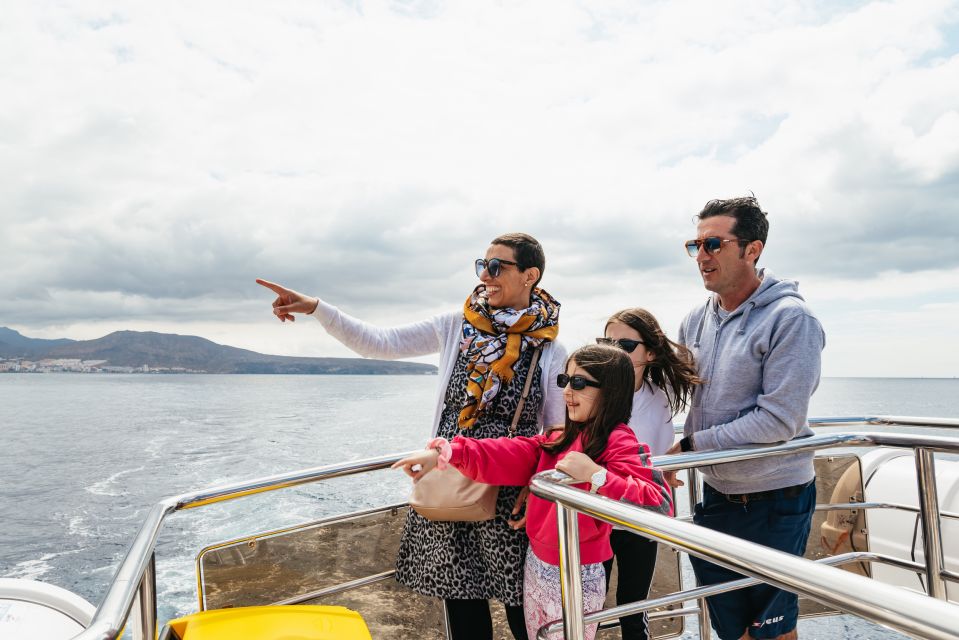 Tenerife: Eco-Yacht Whale and Dolphin Watching and Swimming - How to pick the best time for calm seas and better chances