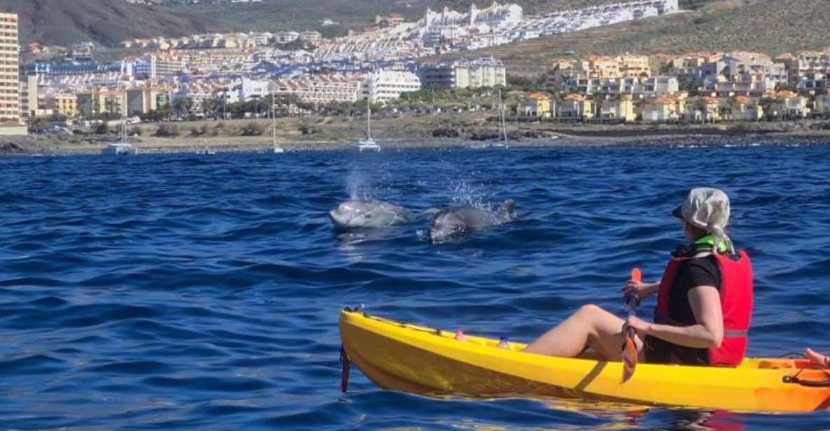 Tenerife: Kayak Safari and Snorkel in a Marine Reserve - Meeting at Los Cristianos: your first 10 minutes set the tone