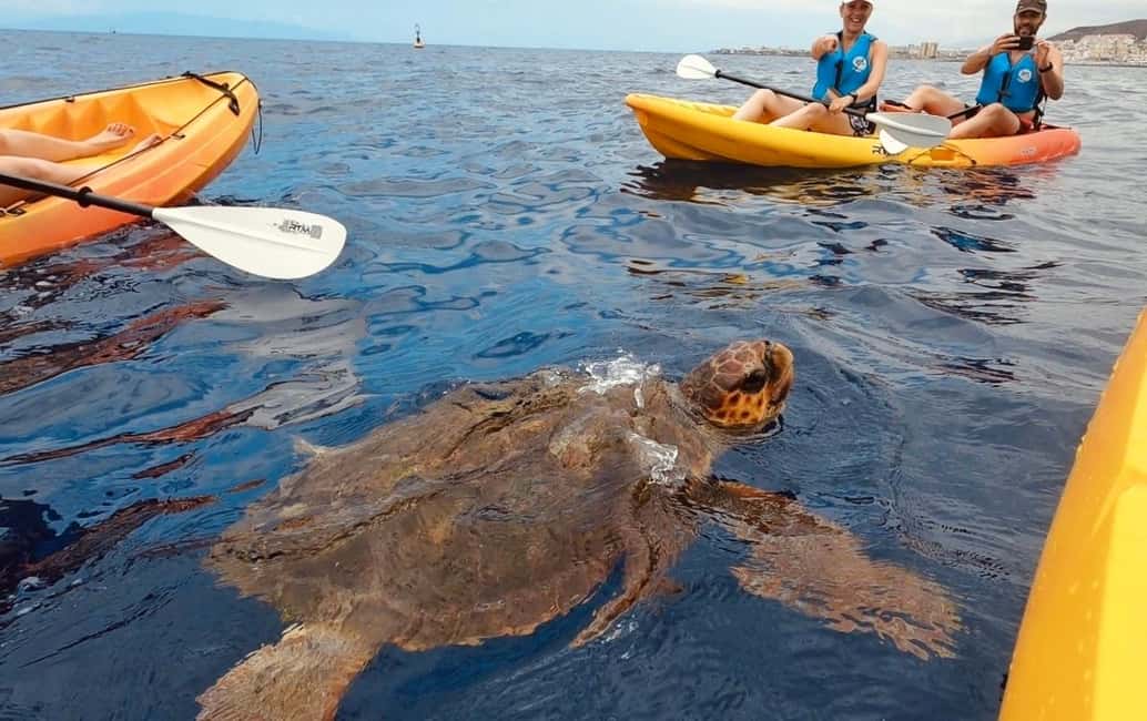 Tenerife: Kayak Safari and Snorkel in a Marine Reserve - The sea cave and snorkel stop: why this one feels different