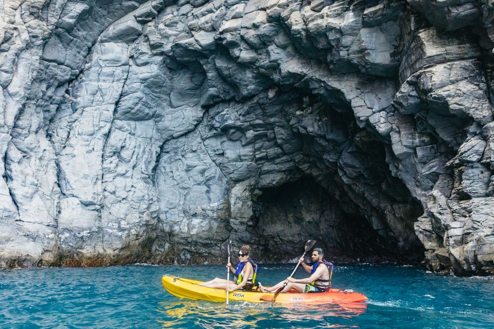 Tenerife: Kayak Safari and Snorkel in a Marine Reserve - Dolphin watching from a kayak: close, calm, and less intrusive