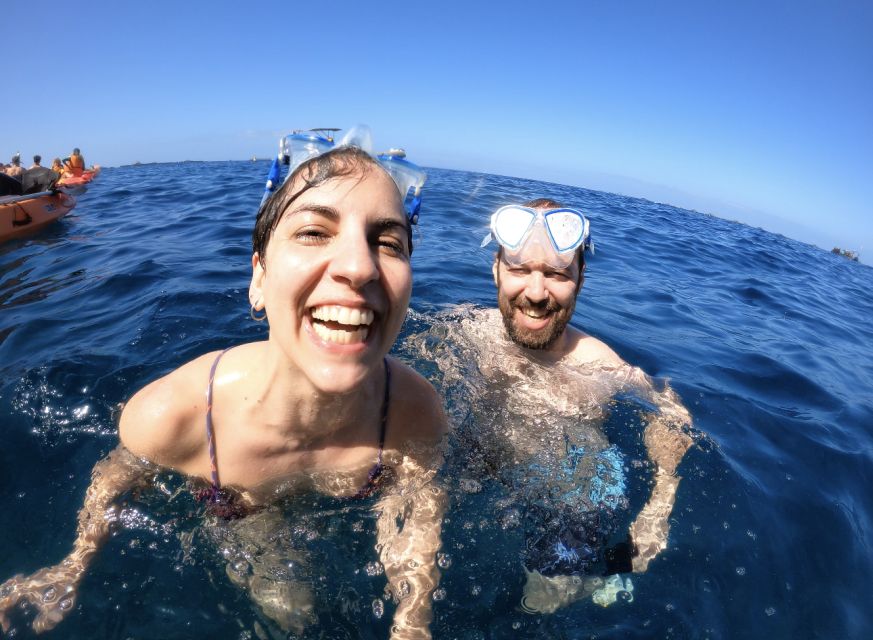 Tenerife: Kayak Safari and Snorkel in a Marine Reserve - The Guaza coastline and final viewing time: more than just paddling