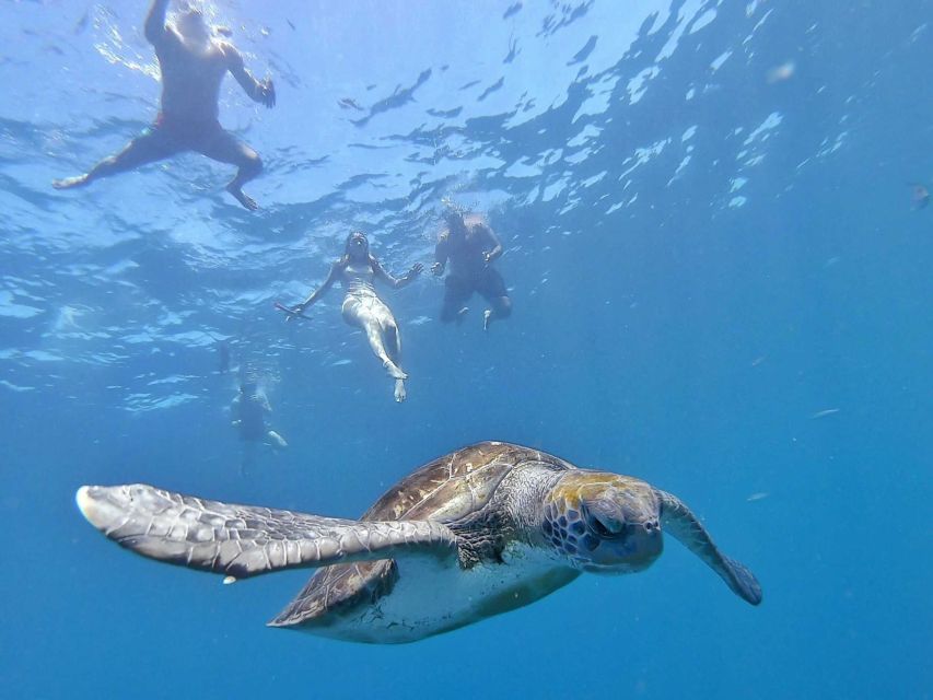 Tenerife: Kayak Safari and Snorkel in a Marine Reserve - Weather, wind, and the real snorkeling tradeoff