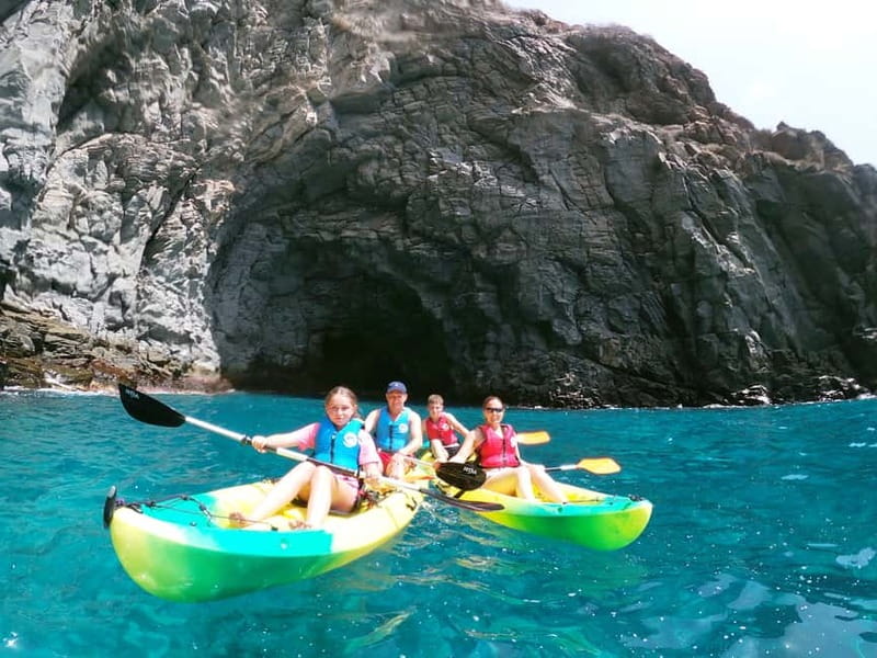 Tenerife: Kayak & Snorkel with Local Fauna, Photos Included - Tenerife Kayak & Snorkel with Local Fauna: the real draw is getting close