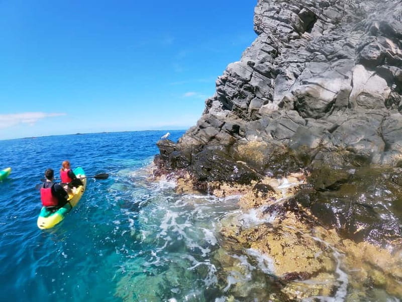 Tenerife: Kayak & Snorkel with Local Fauna, Photos Included - Who this Tenerife kayak and snorkel tour suits best