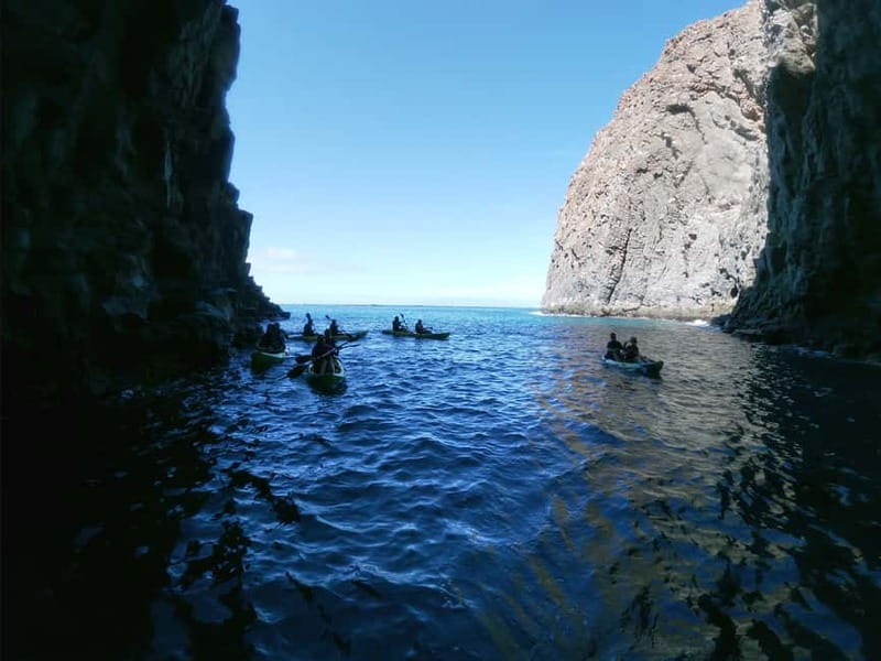 Tenerife: Kayak & Snorkel with Local Fauna, Photos Included - Shaka Kayak Tenerife: where you start at Los Cristianos
