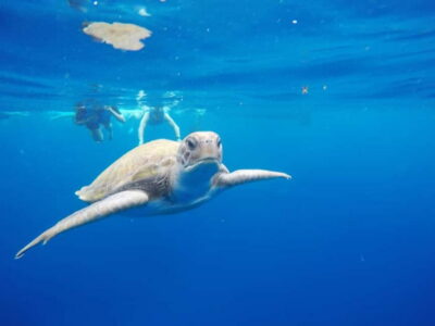 Tenerife: Kayak & Snorkel with Local Fauna, Photos Included - Safety briefing and the double-kayak setup