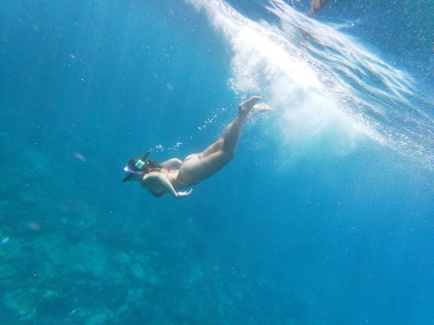 Tenerife: Kayak & Snorkel with Local Fauna, Photos Included - The return paddle: effort, small wildlife, and that last stretch