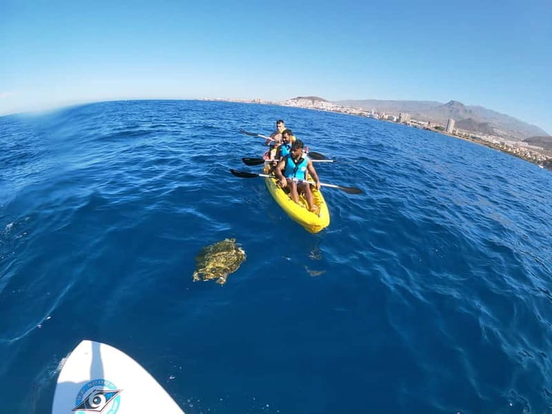 Tenerife: Kayak & Snorkel with Local Fauna, Photos Included - Back at Shaka: showers, water, snack, and free photos