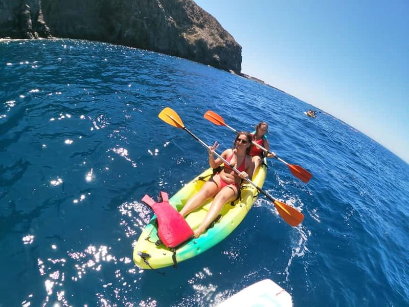 Tenerife: Kayak & Snorkel with Local Fauna, Photos Included - Weather, seas, and wildlife expectations you can actually plan