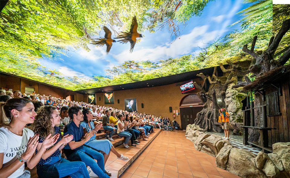 Tenerife: Loro Parque Entry Ticket - Orca Ocean and the Big Shows: How to Plan Your Best Seats