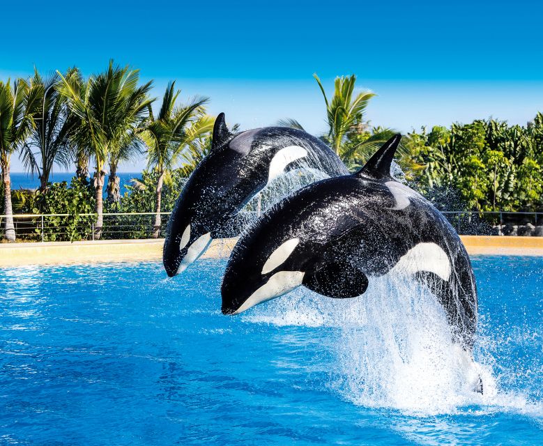 Tenerife: Loro Parque Entry Ticket - Food Options: Brunelli’s Lunch and the Cafes Inside the Park