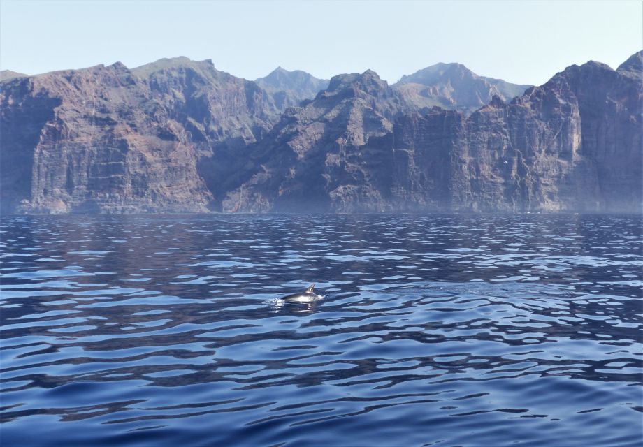 Tenerife: Los Gigantes Whale Watching Cruise by Sail Boat - Food, drinks, and little touches that turn a tour into an afternoon