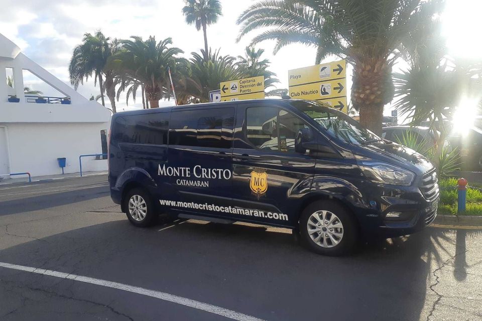 Tenerife: Marine-Life Tour with Transfer, Buffet and Drinks - Who this tour suits best (and who might want a different option)