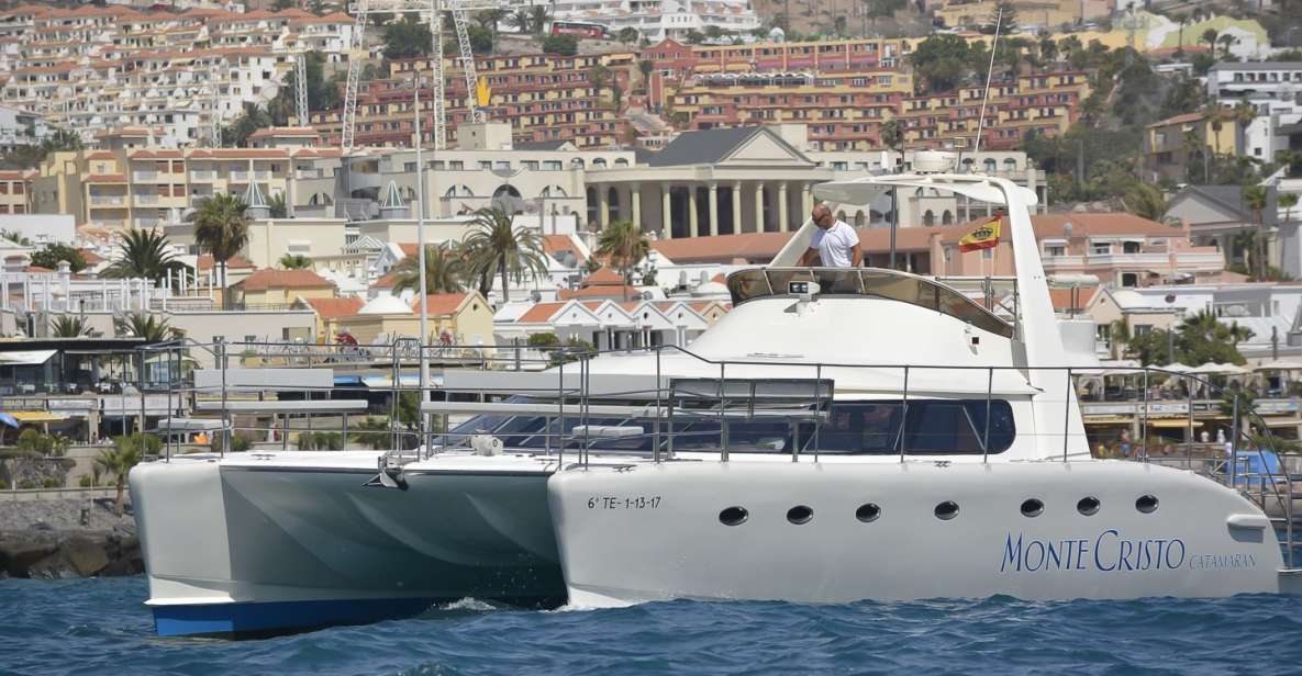 Tenerife: Marine-Life Tour with Transfer, Buffet and Drinks - Why this Tenerife whale-watching catamaran feels like a smart use of your time