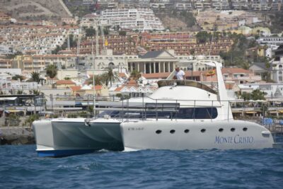 Tenerife: Marine-Life Tour with Transfer, Buffet and Drinks - Getting to Dock #6 in Puerto Colón: the part you want to be effortless