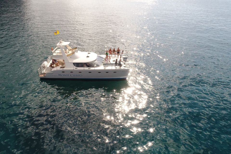 Tenerife: Marine-Life Tour with Transfer, Buffet and Drinks - The swim and snorkel stop: why the “crystal clear bay” part matters