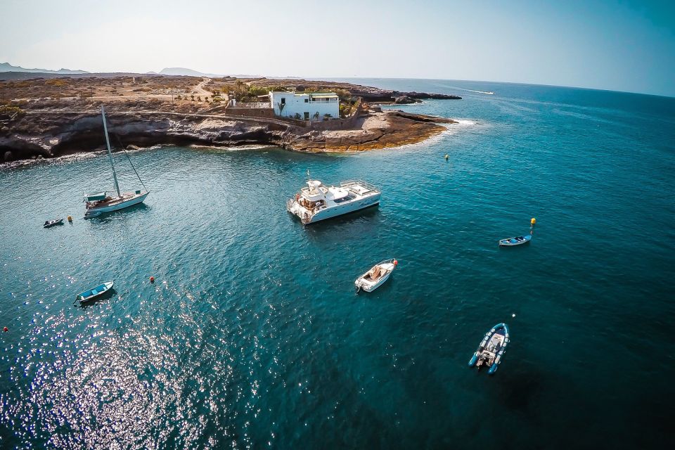 Tenerife: Marine-Life Tour with Transfer, Buffet and Drinks - South-coast scenery from the water: the payoff beyond wildlife