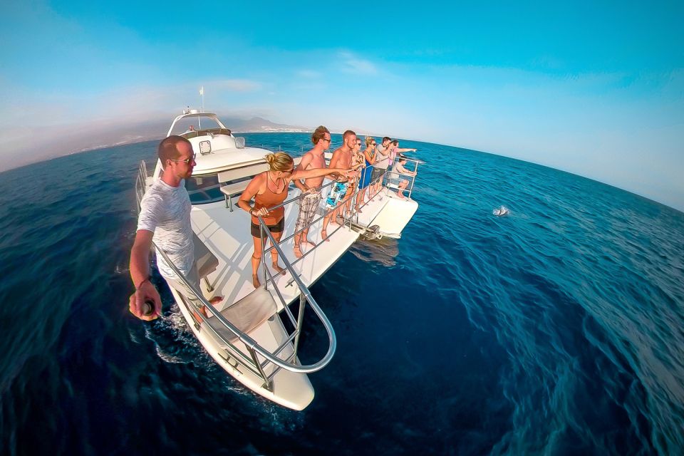 Tenerife: Marine-Life Tour with Transfer, Buffet and Drinks - What I think about the value at $69 per person
