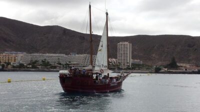 Tenerife: Whale & Dolphin Watching Cruise with Swim Stop - The Blue Flag approach that keeps wildlife in charge