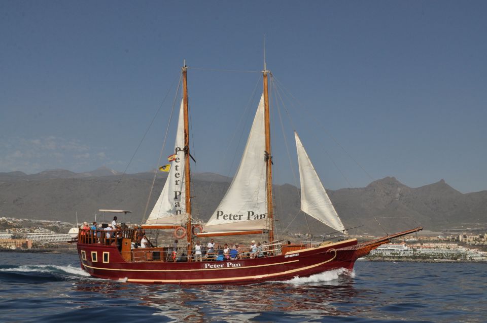 Tenerife: Whale & Dolphin Watching Cruise with Swim Stop - The two-hour cruise: calm viewing with real explanations