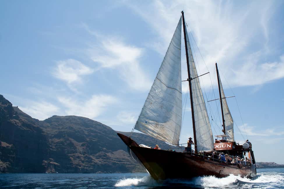 Tenerife: Whale & Dolphin Watching Cruise with Swim Stop - Dress for the Atlantic, not the brochure