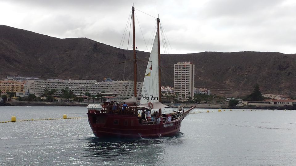Tenerife: Whale & Dolphin Watching Cruise with Swim Stop - The Blue Flag approach that keeps wildlife in charge