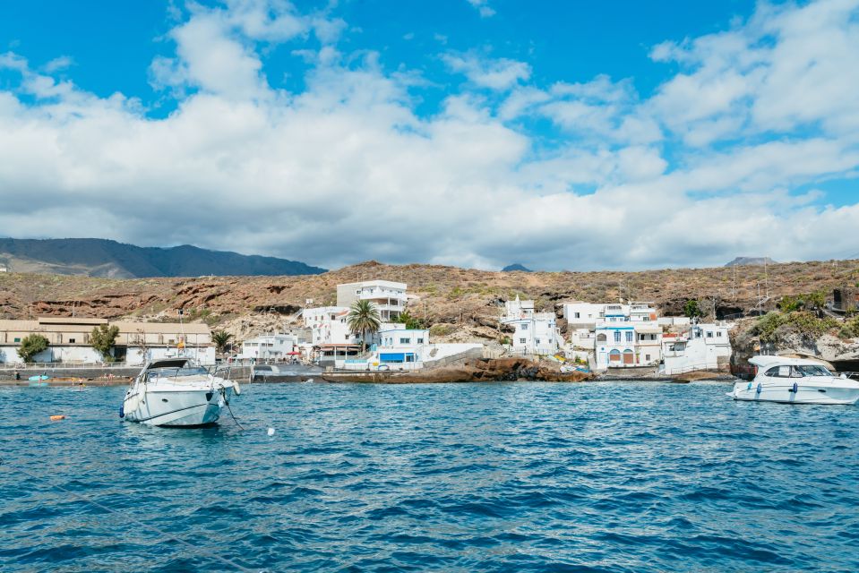 Tenerife: Whale & Dolphin Watching with Drinks and Snacks - Practical tips: what to bring for Tenerife sailing and snorkel time