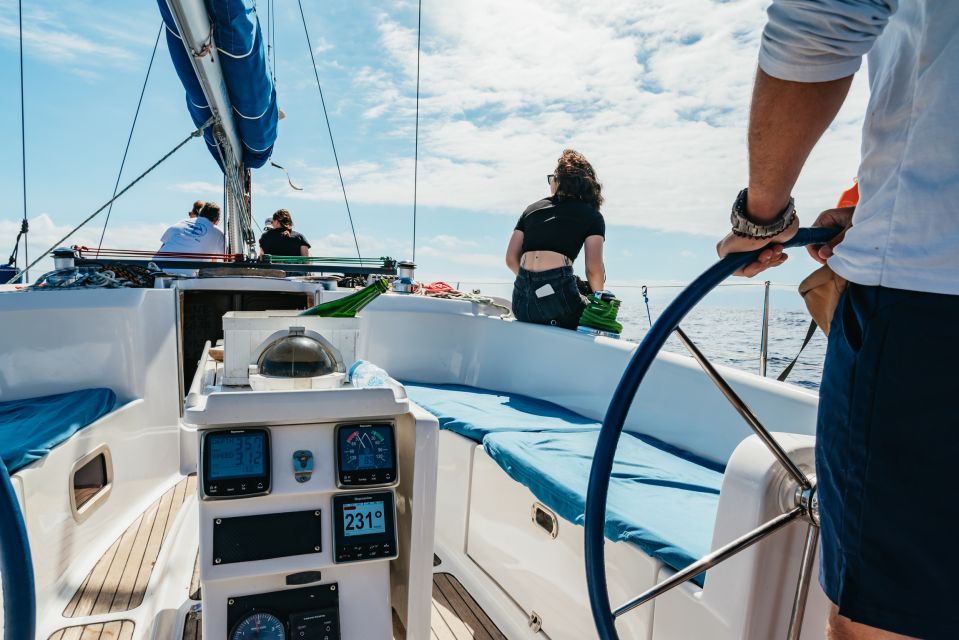 Tenerife: Whale & Dolphin Watching with Drinks and Snacks - Food and drinks: the kind of inclusion that actually boosts value