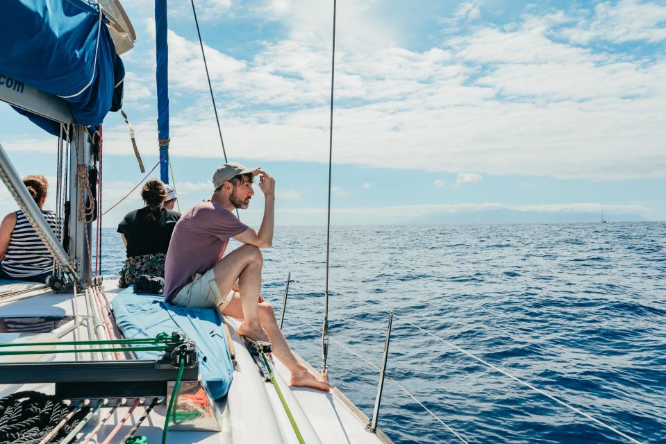 Tenerife: Whale & Dolphin Watching with Drinks and Snacks - Who should book this cruise—and who should skip it