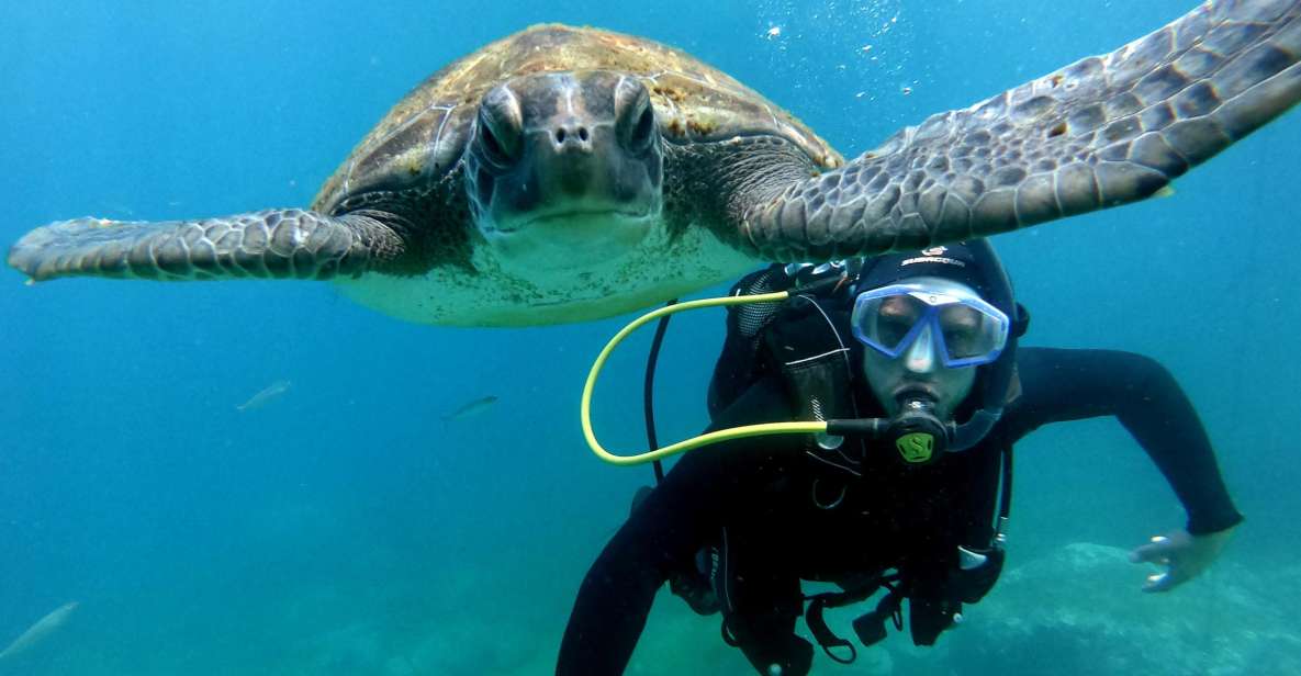 Tenerife: Your First Scuba Diving Experience in Turtle Area - Your first scuba session: max 12 meters with real instructor attention