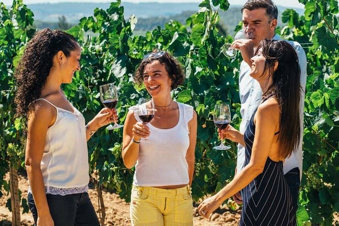 Toledo Tour & Vineyard Walk with Wine Tasting from Madrid - A one-day sampler of Toledo plus a vineyard tasting in Bargas