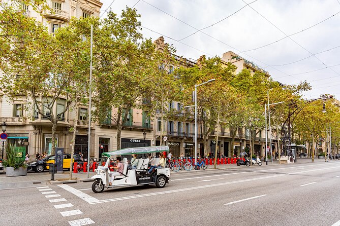 Tour Welcome Barcelona with Local Guide in Eco Tuk Tuk Private - Plaza de Catalunya and Plaza de España: Big Squares, Practical Purpose