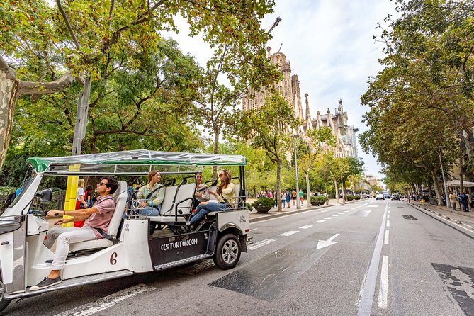Tour Welcome Barcelona with Local Guide in Eco Tuk Tuk Private - Montjuïc and the Old Port: Views and Contrast
