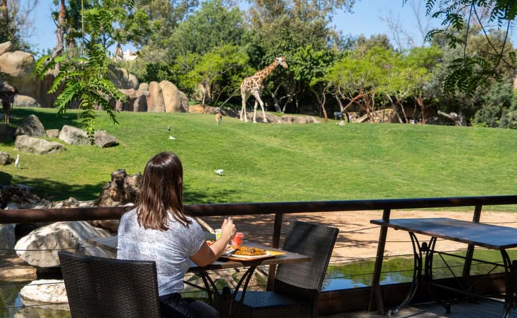 Valencia: Bioparc Valencia Admission Ticket - Kitum Cave: burrows, underground action, and a legendary cave recreation