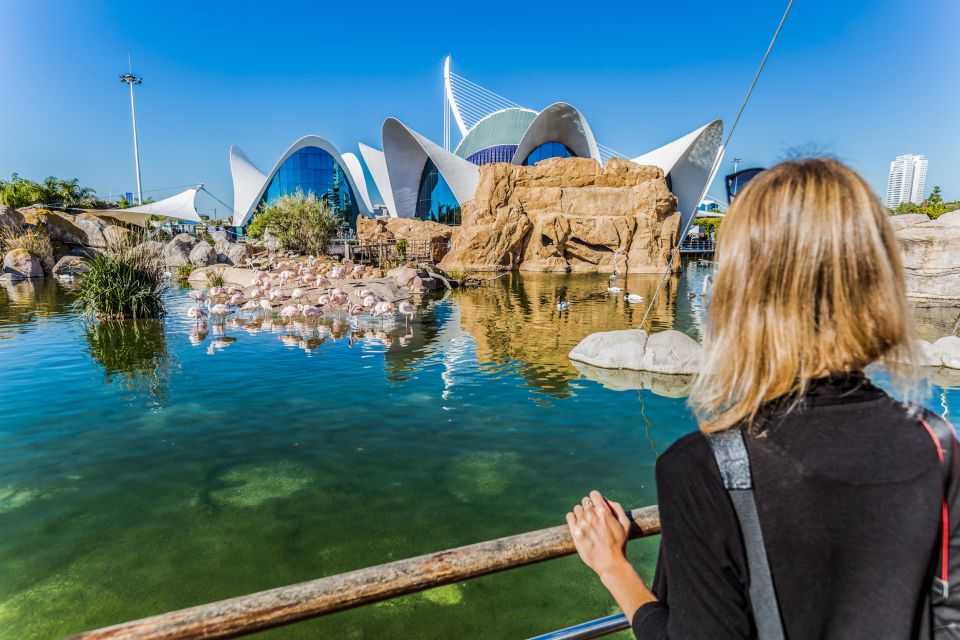 Valencia: Oceanogràfic Entry Ticket - The Long Underwater Tunnel and the Shark-Front Feeling