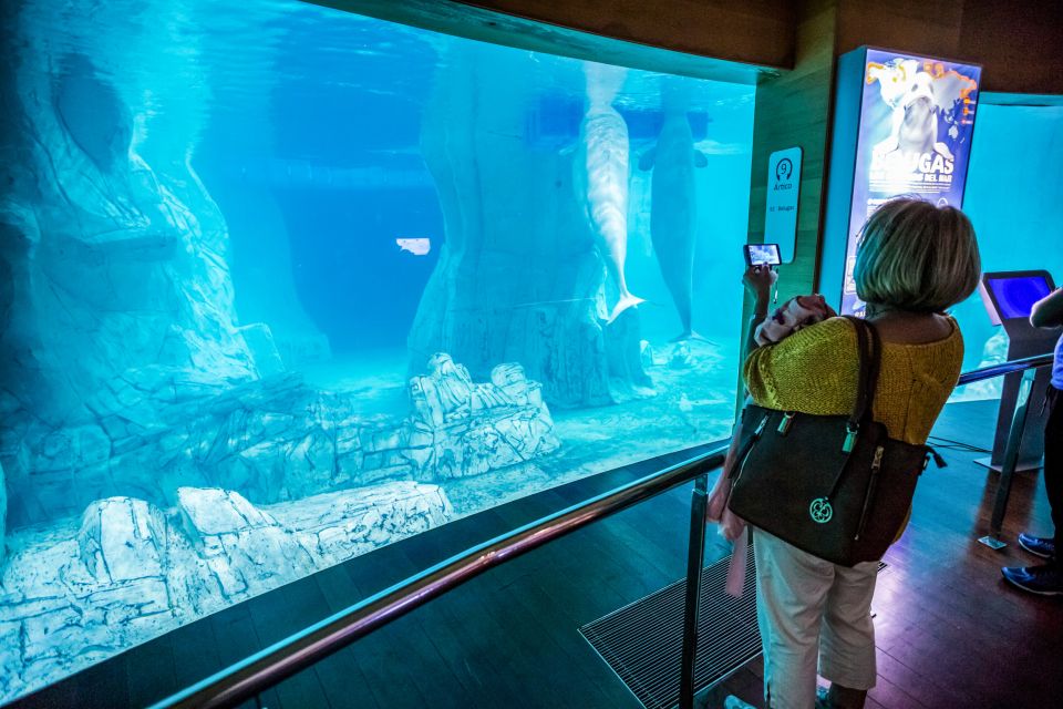 Valencia: Oceanogràfic Entry Ticket - Belugas, Penguins, Walruses, and the Animals People Actually Remember