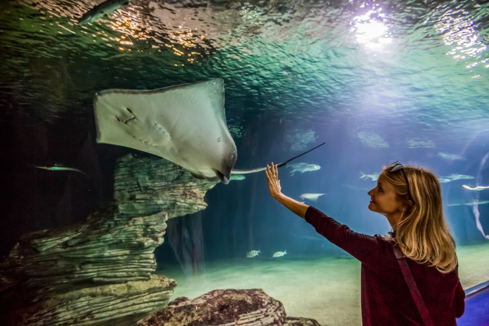Valencia: Oceanogràfic Entry Ticket - Lower-Level Aquariums: Mediterranean to Antarctic and More