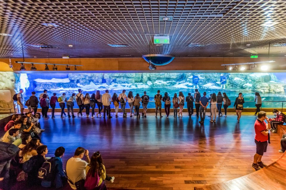 Valencia: Oceanogràfic Entry Ticket - Food and Budget Reality: What You’ll Want to Plan For