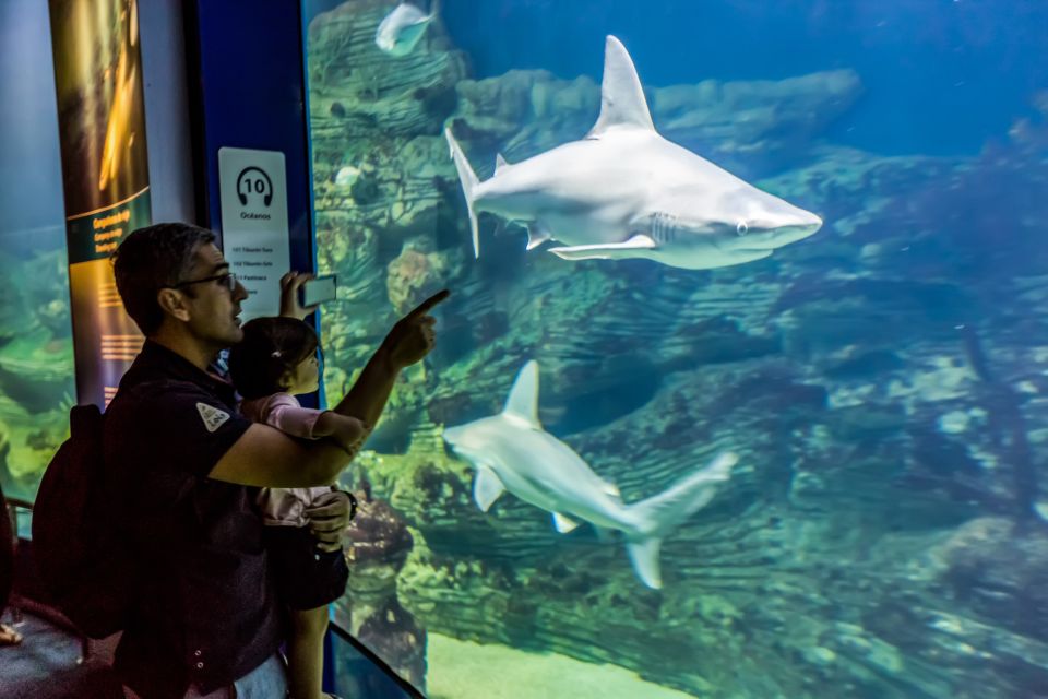 Valencia: Oceanogràfic Entry Ticket - Planning Your Slot: When to Arrive in the City of Arts and Sciences