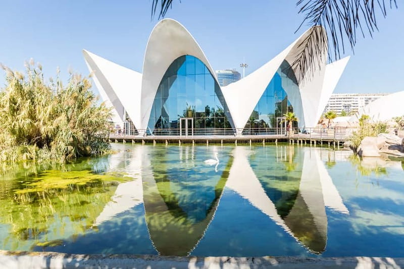Valencia: Oceanogràfic, Hemisfèric & Science Museum Combo - Addresses, Entry Points, and Getting Your Bearings Fast