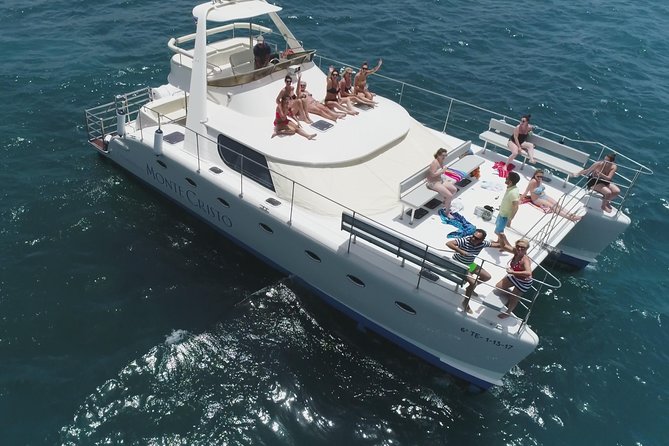 Whale and Dolphin Watching Catamaran with Transfer and Buffet - Key highlights you’ll actually care about