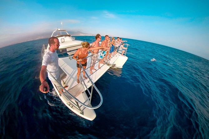Whale and Dolphin Watching Catamaran with Transfer and Buffet - Monte Cristo Catamaran: the ship, the vibe, and the ride length