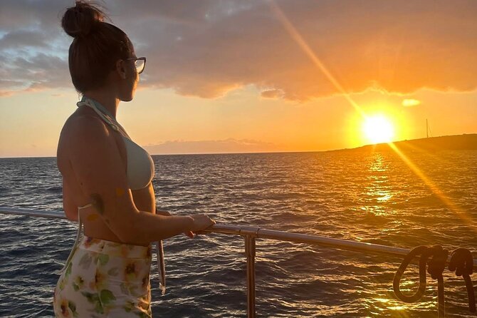 Whale and Dolphin Watching Catamaran with Transfer and Buffet - Price and value: why $71ish can still feel like a bargain