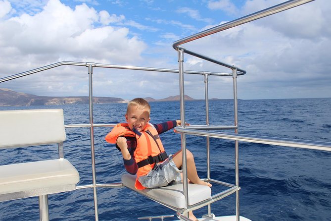 Whale and Dolphin Watching Catamaran with Transfer and Buffet - The dolphin and whale hunt: how the guide changes your odds