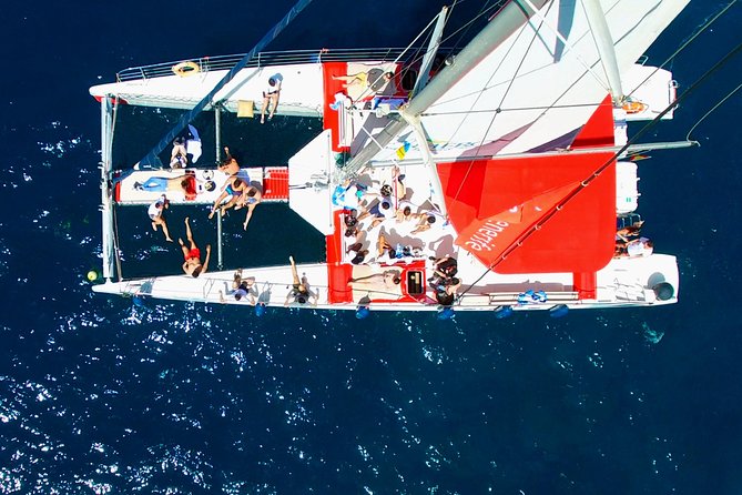 Whale watching and listening Eco-Catamaran Tour with Food Tasting - Why this Tenerife whale trip feels worth your time