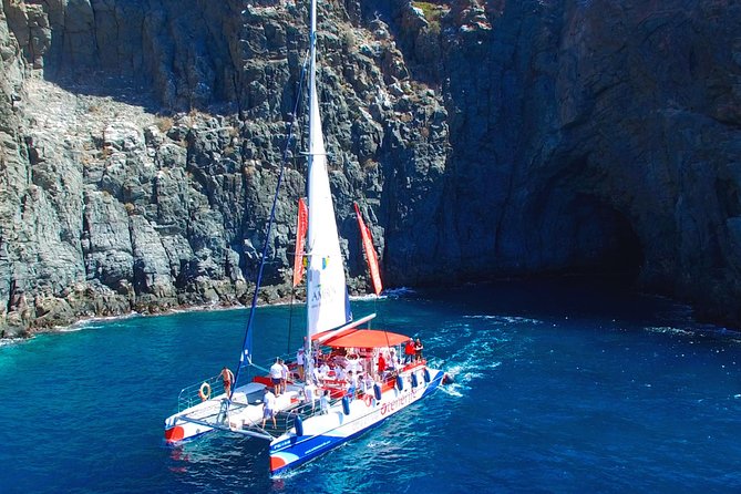 Whale watching and listening Eco-Catamaran Tour with Food Tasting - Food tasting and unlimited drinks: simple, useful, and not too fussy
